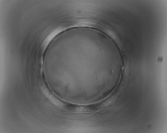 X0000111151275200906301329