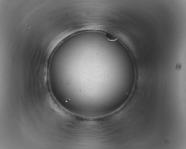 X0000111151276200906301329