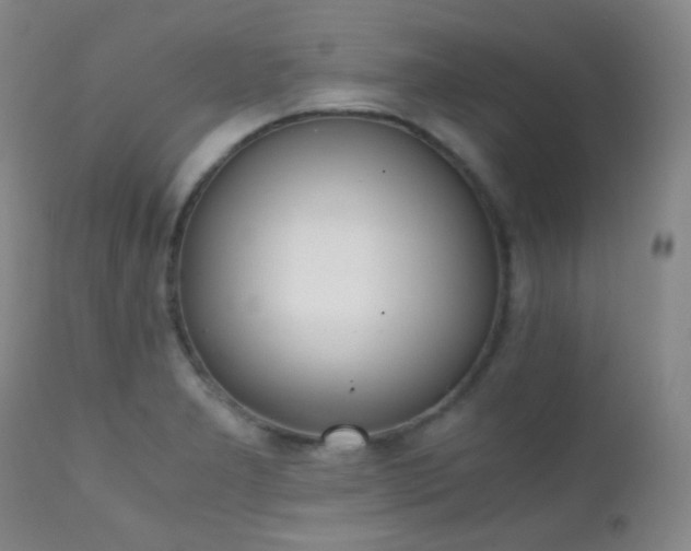 X0000111151277200906301329