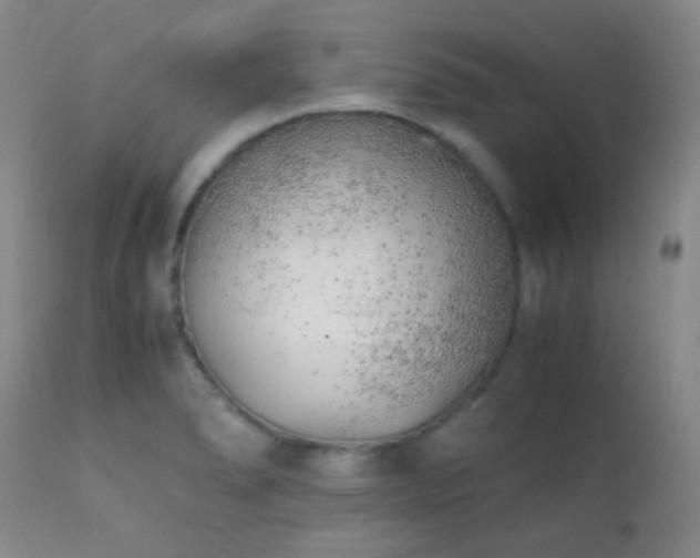 X0000111151278200906301329