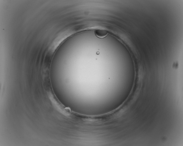 X0000111151281200906301329