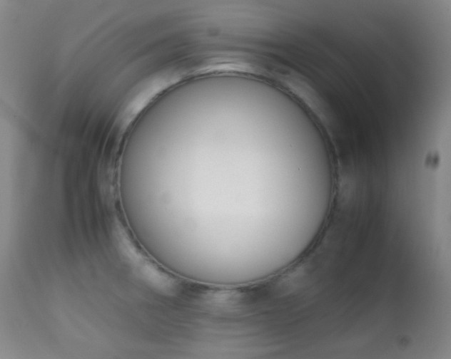X0000111151282200906301329