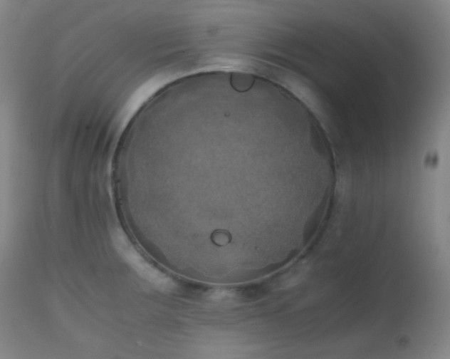 X0000111151283200906301329