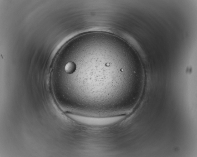 X0000111151284200906301329