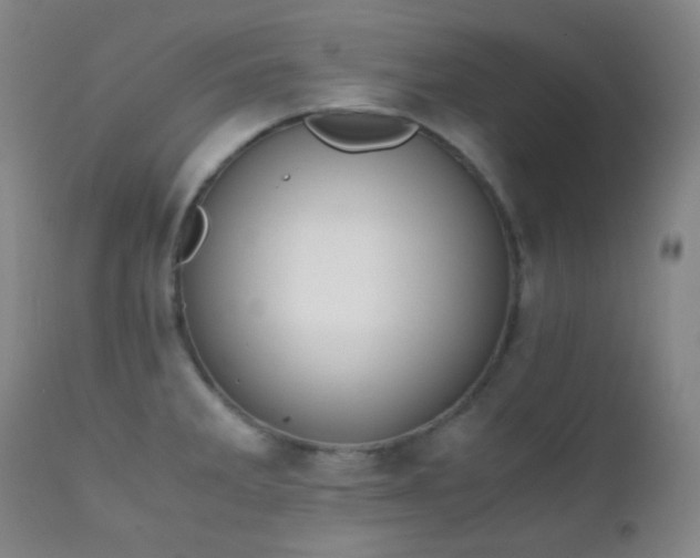 X0000111151285200906301329