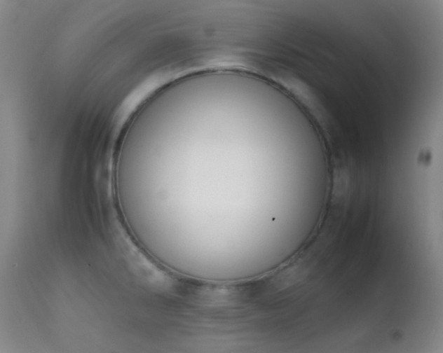 X0000111151286200906301329