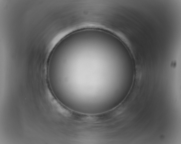X0000111151287200906301329