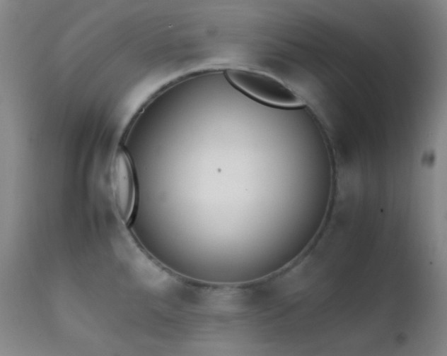 X0000111151288200906301328