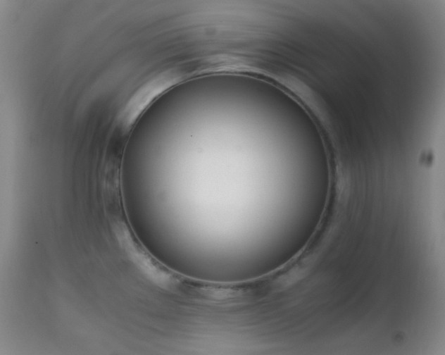 X0000111151289200906301328