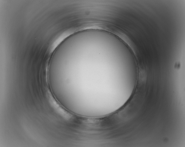 X0000111151290200906301328