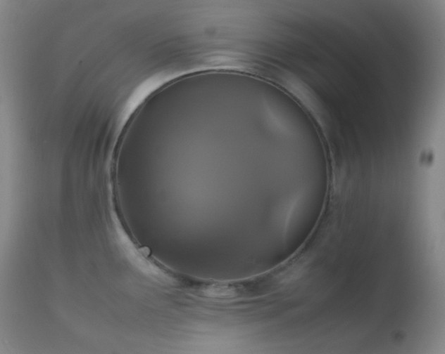 X0000111151291200906301328