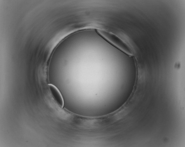 X0000111151292200906301328