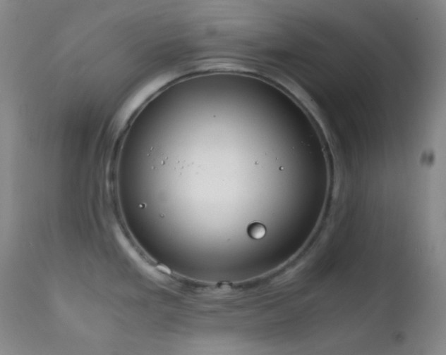 X0000111151293200906301328