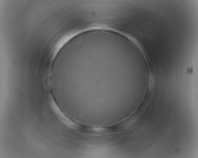 X0000111151295200906301328