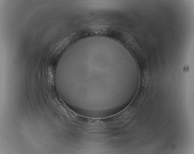X0000111151298200906301328