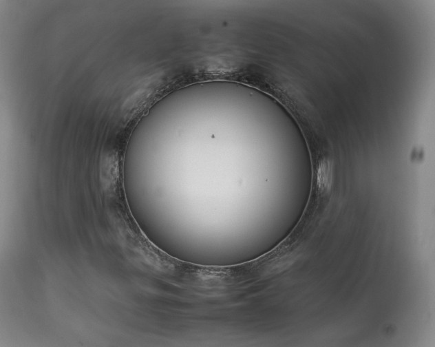 X0000111151299200906301328