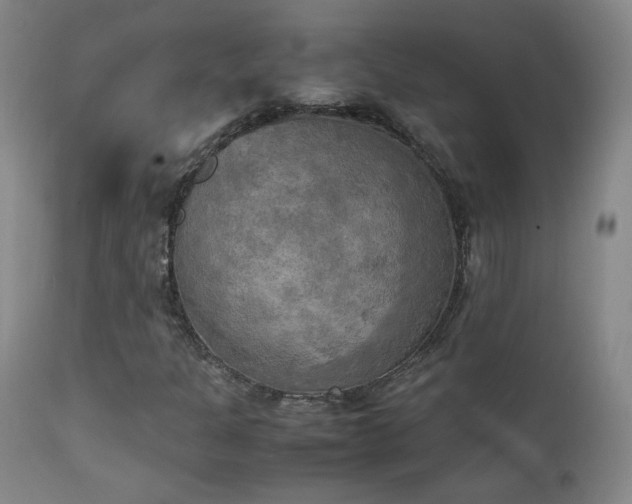 X0000111151301200906301328