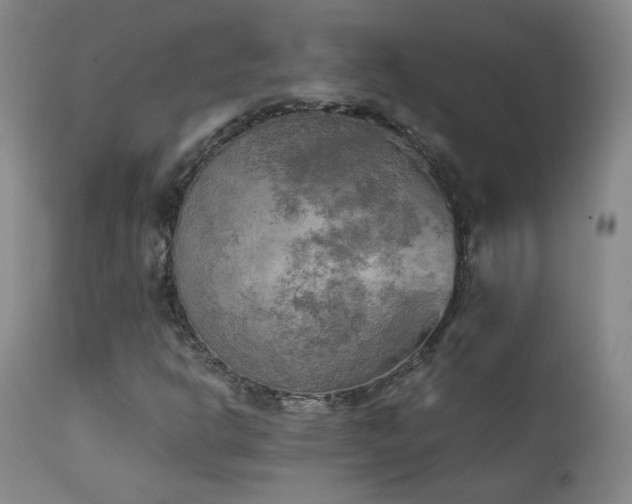 X0000111151302200906301328
