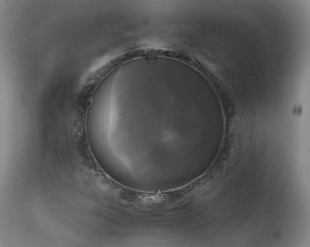 X0000111151303200906301328