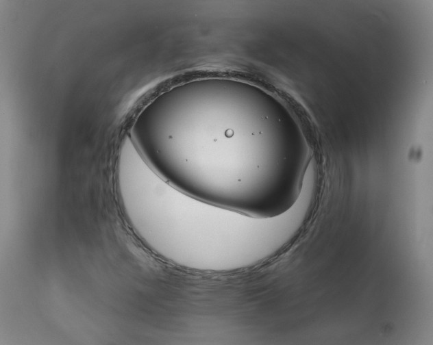 X0000111151304200906301328