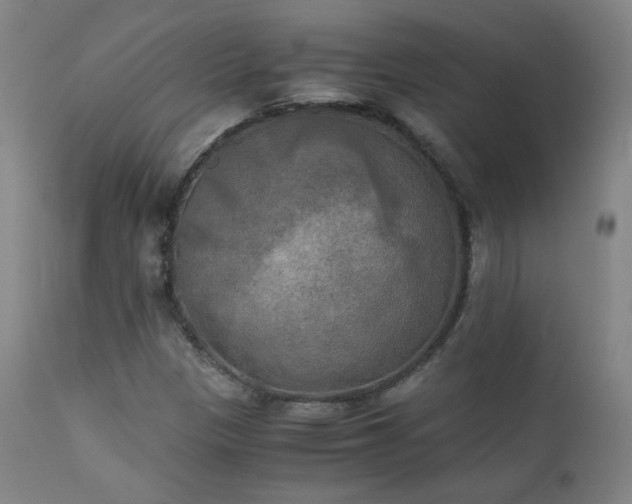X0000111151305200906301328