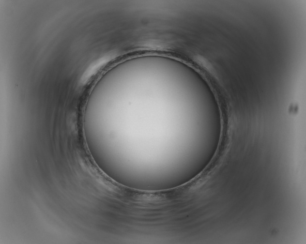 X0000111151307200906301328