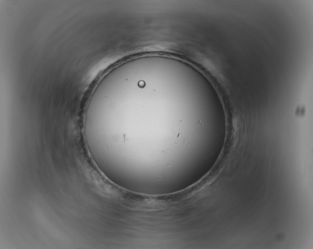 X0000111151308200906301328
