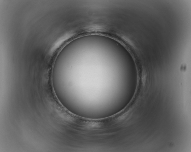 X0000111151309200906301328