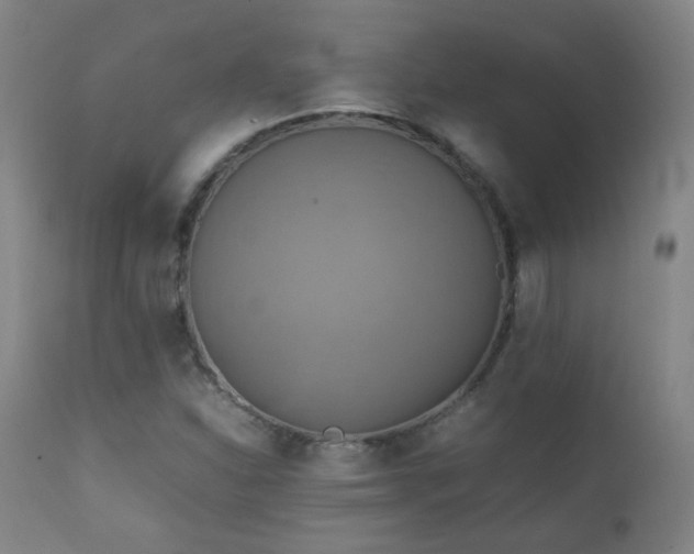 X0000111151310200906301328