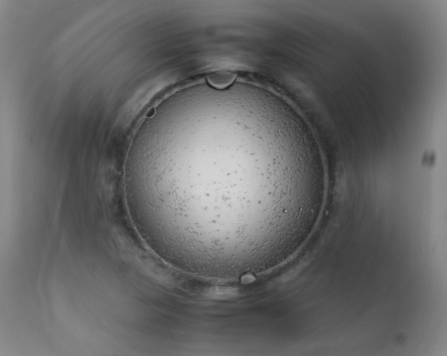 X0000111151313200906301328