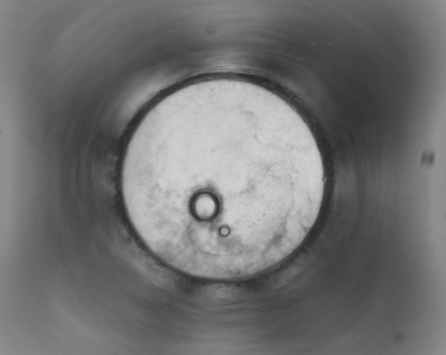 X0000111151314200906301328