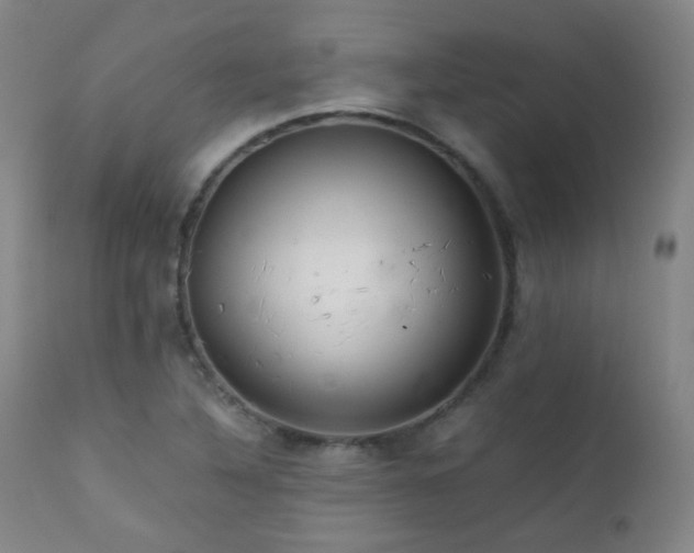 X0000111151316200906301328