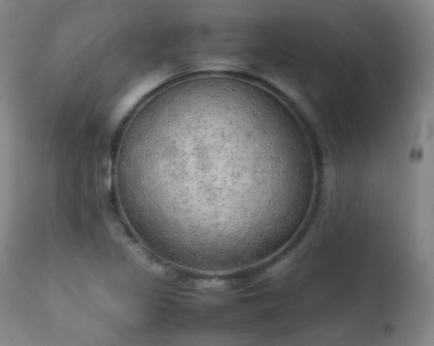X0000111151317200906301328