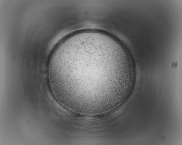 X0000111151318200906301328