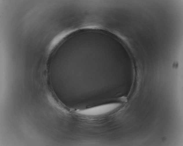 X0000111151319200906301328