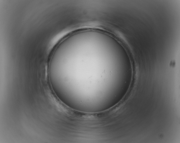 X0000111151320200906301328