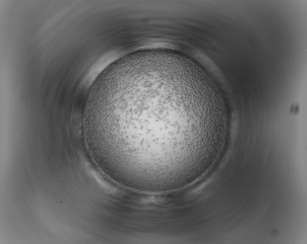 X0000111151321200906301328