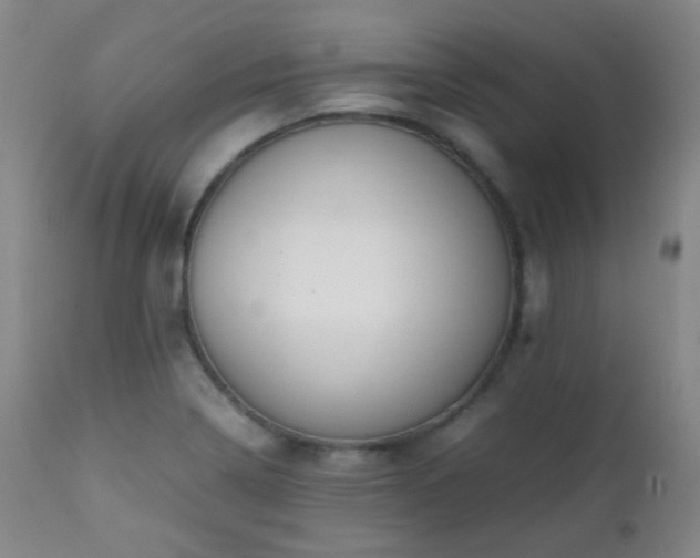 X0000111151322200906301328