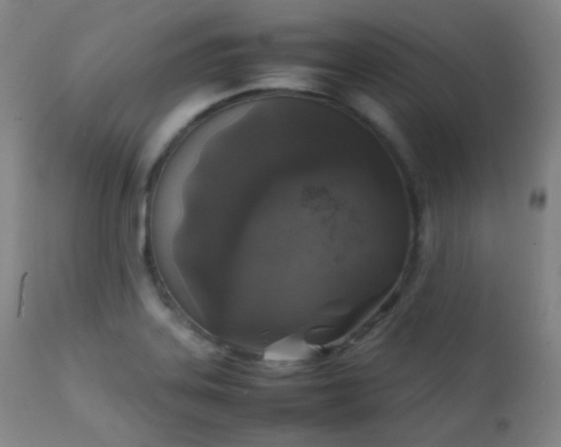 X0000111151323200906301328
