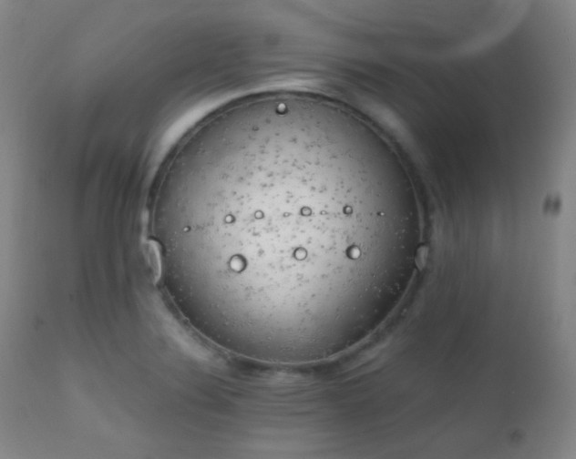 X0000111151324200906301328