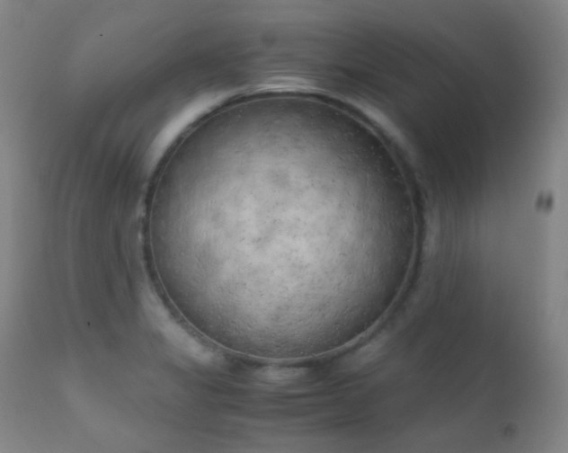 X0000111151325200906301328