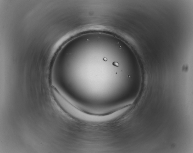 X0000111151326200906301328