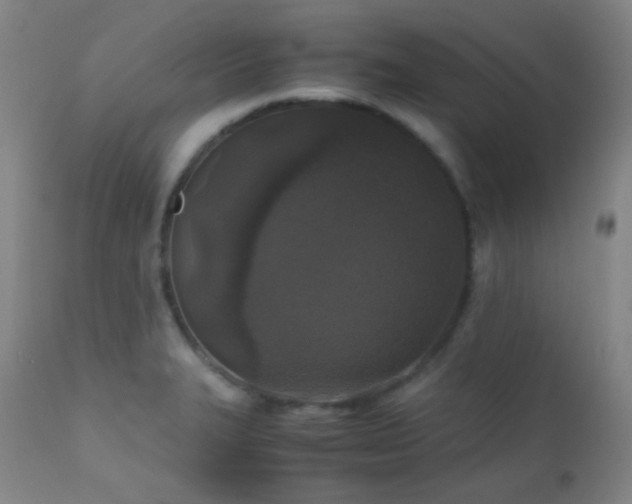 X0000111151327200906301328