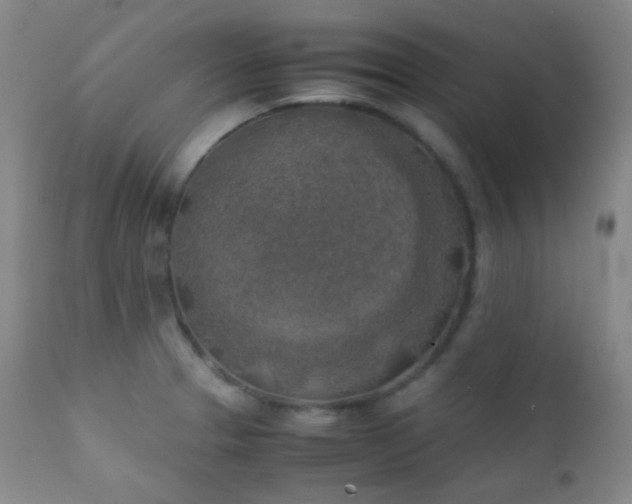 X0000111151329200906301328