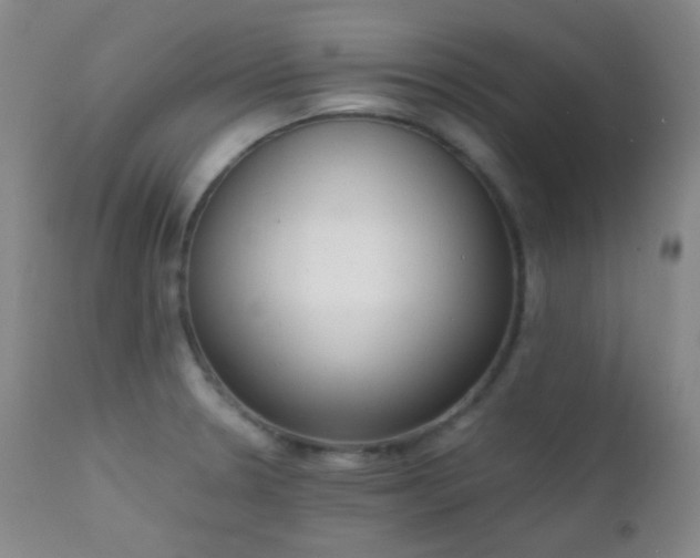 X0000111151330200906301328