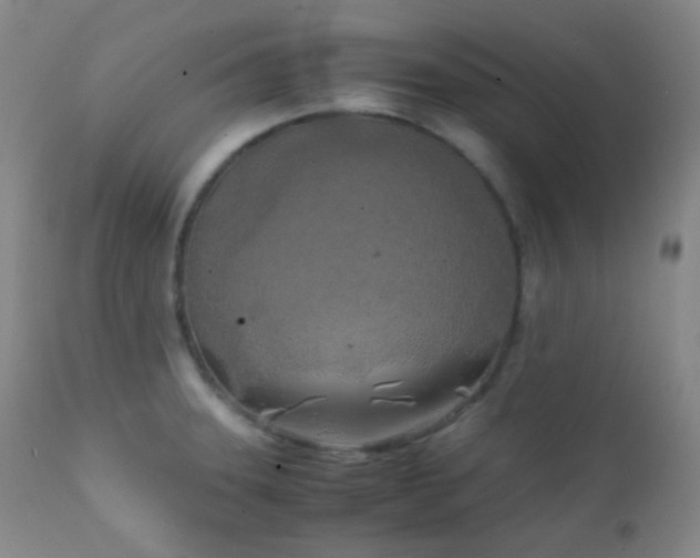 X0000111151331200906301328