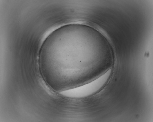 X0000111151332200906301328