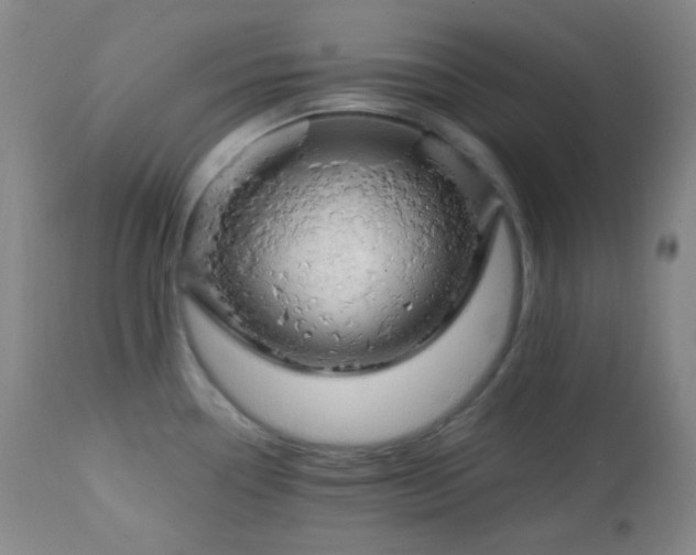 X0000111151338200906301328