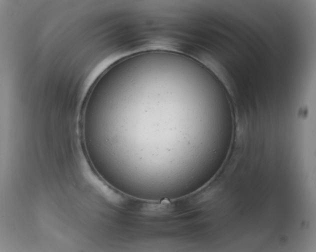 X0000111151339200906301328