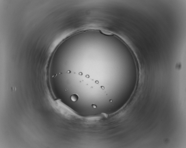 X0000111151341200906301328